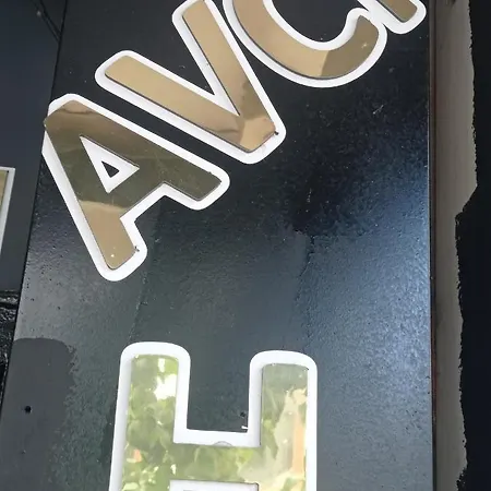 Avci